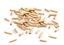 Cat's Best - Litière Végétale Smart Pellets pour Chat - 10L Indicateur image numéro 4