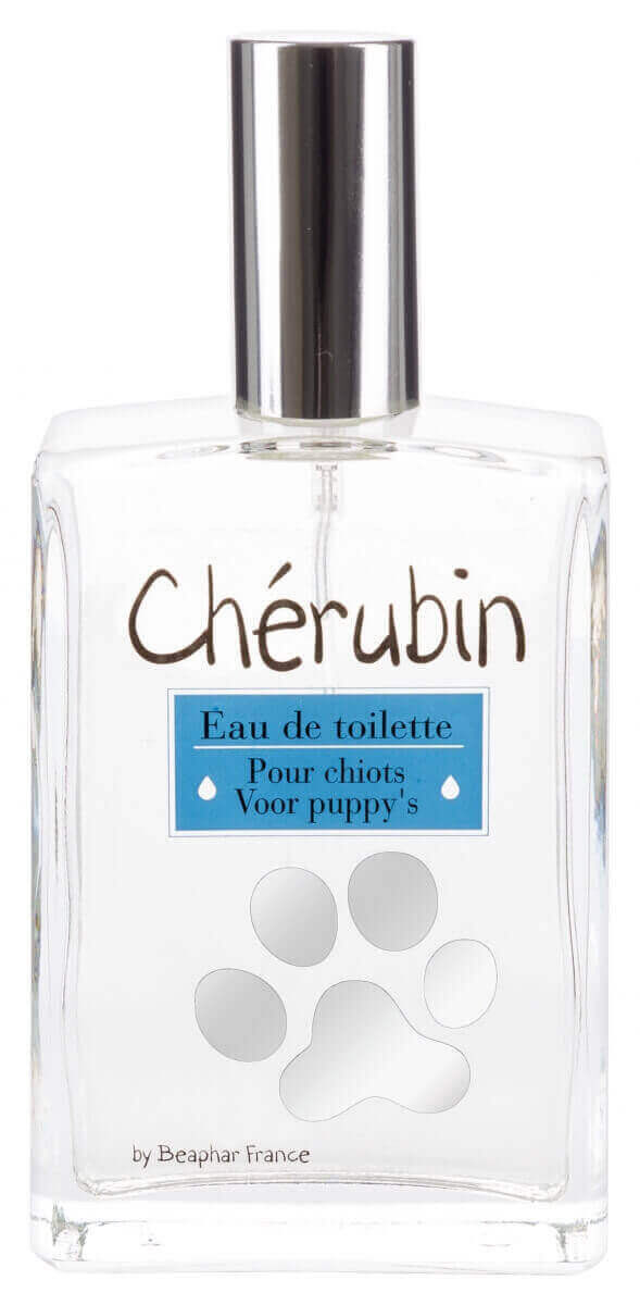 Beaphar - Eau de Toilette Ch&eacute;rubin pour Chiot - 50ml Image num&eacute;ro 1