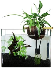 CocoPlant - Filtration Naturelle Coco30 pour Aquarium