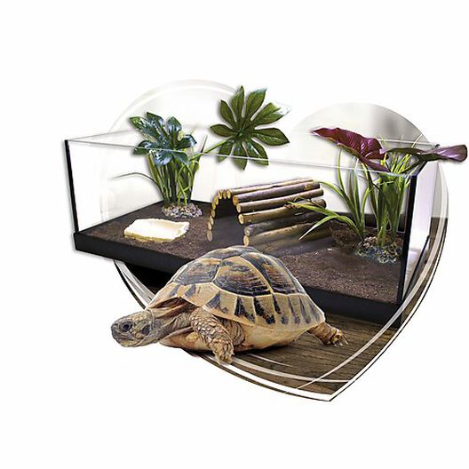 Animalis - Kit Tortue Terrestre - 80 image number null