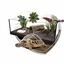 Animalis - Kit Tortue Terrestre - 80 Indicateur image numéro 2