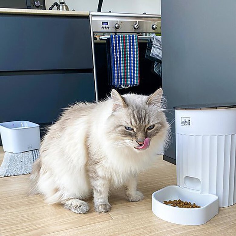 Ebi - Distributeur automatique intelligent Talakona 3L - 18x18x26cm blanc Image numéro 5 Ebi - Distributeur automatique intelligent Talakona 3L - 18x18x26cm blanc Image numéro 5