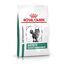 Royal Canin - Croquettes Veterinary Diet Satiety Weight Management pour Chat - 1,5Kg Indicateur image numéro 1