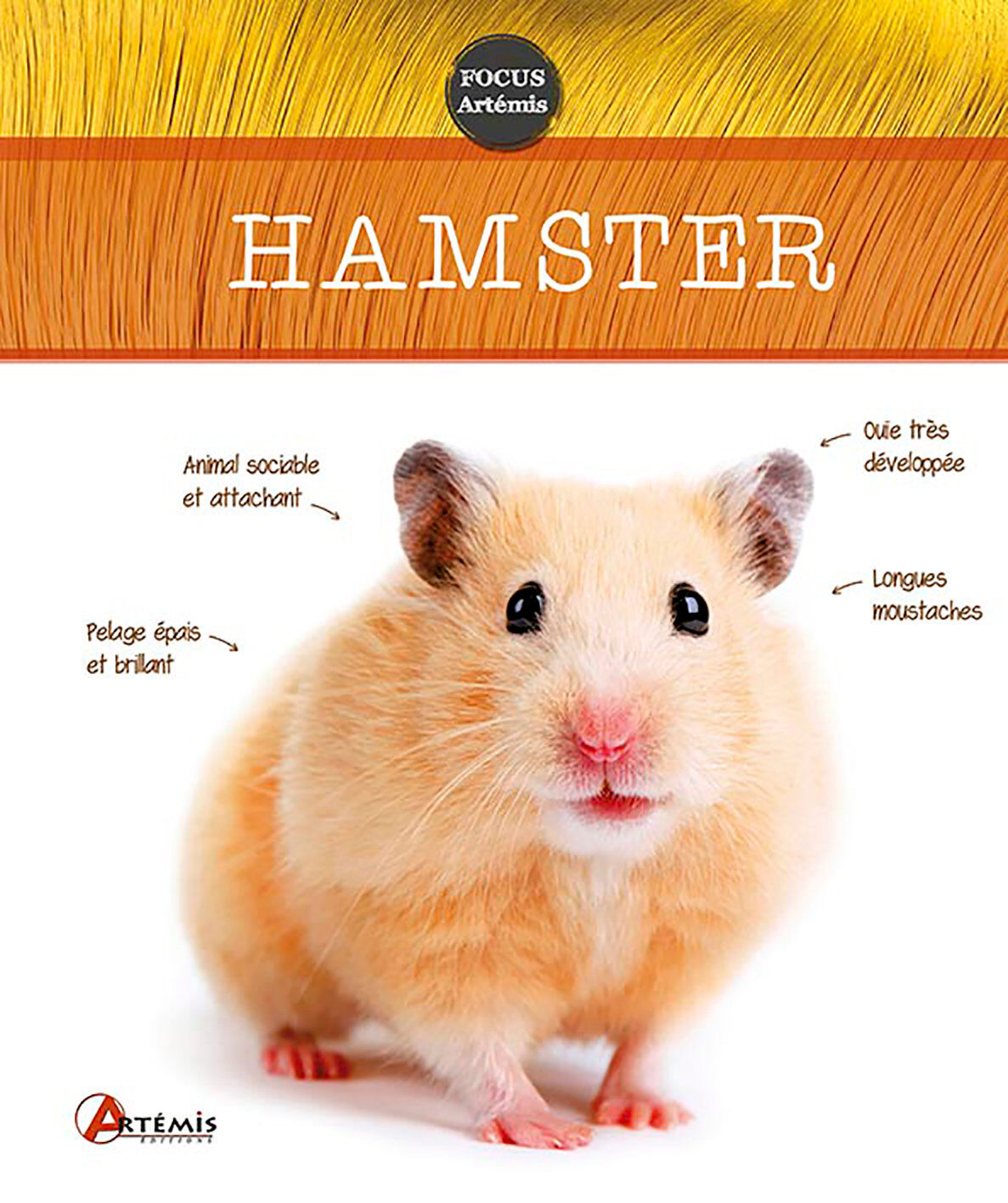 Art&eacute;mis - Hamster Image num&eacute;ro 1