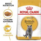 Royal Canin - Croquettes British Shorthair pour Chat Adulte - 2Kg image number null