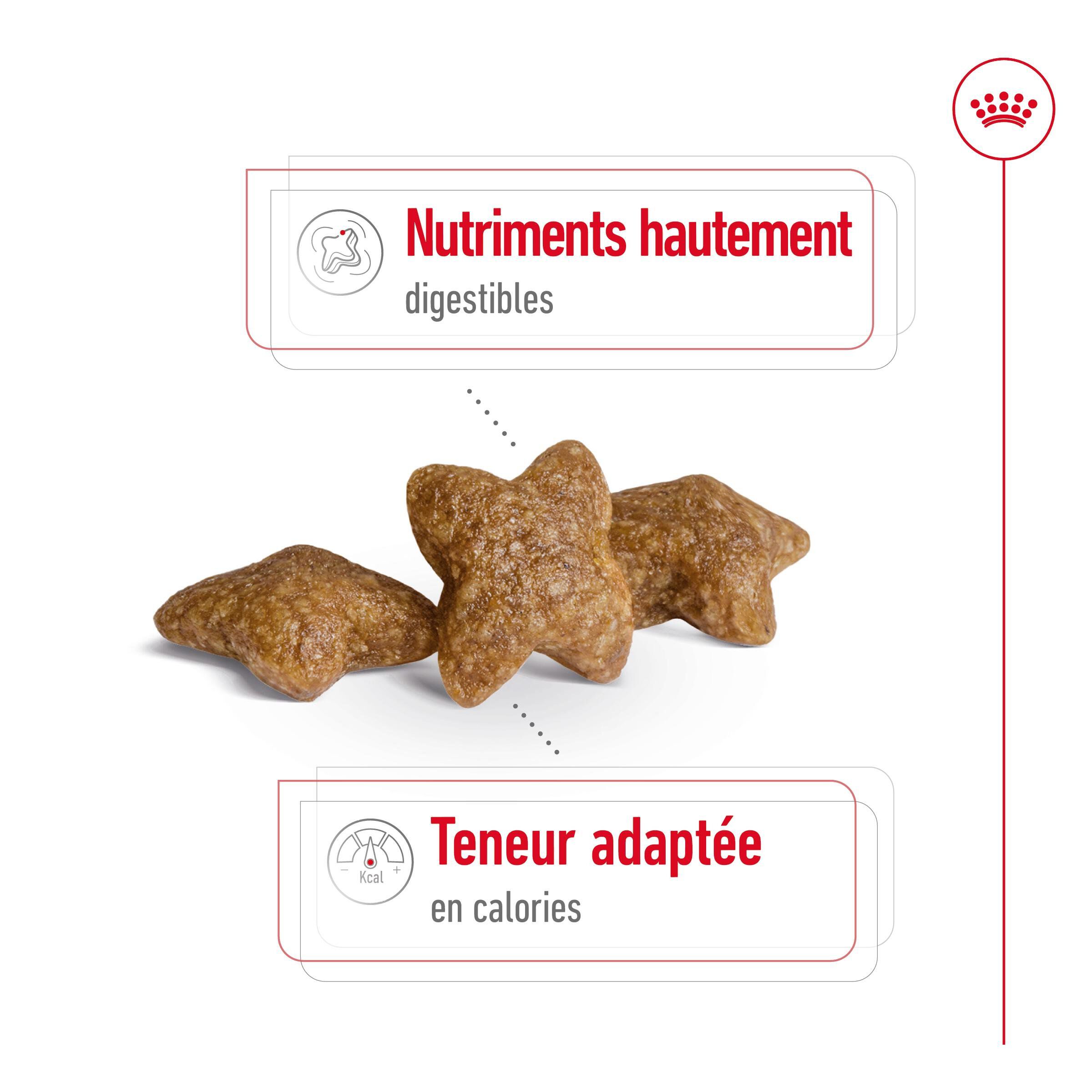 Royal Canin - Croquettes Mini Adult pour Chien de Petite Taille - 800g Image num&eacute;ro 2