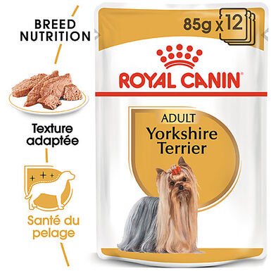 Royal Canin - Pâtée en mousse YORKSHIRE ADULT pour chiens - 12X85G