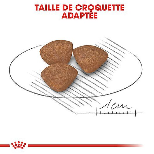 Royal Canin - Croquettes Mini Puppy pour Chiot - 8Kg image number null
