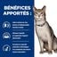 Hill's - Croquettes Prescription Diet K/D Kidney Care au Thon pour Chats - 3Kg Indicateur image numéro 3
