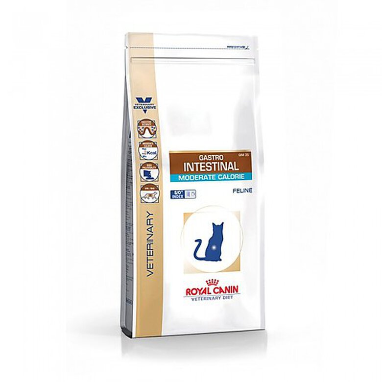 Royal Canin - Croquettes Gastro Intestinal Moderate Calorie pour Chat - 4Kg image number null