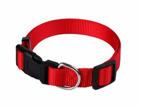 Animalis - Collier Basic pour Chien Rouge
