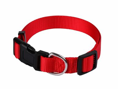 Animalis - Collier Basic pour Chien Rouge