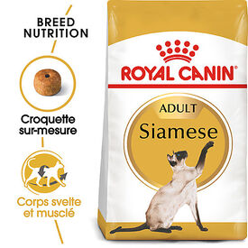 Royal Canin - Croquettes Siamese Adult Pour Chat