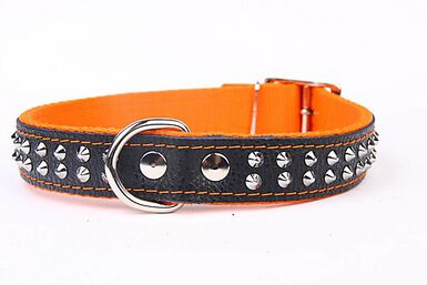 Yogipet - Collier Cuir Nylon Studs pour Chien - Orange