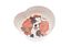 Ferribiella - Etui 2 Bols Aquarelle pour Chiens - 450mlx2 Indicateur image numéro 2