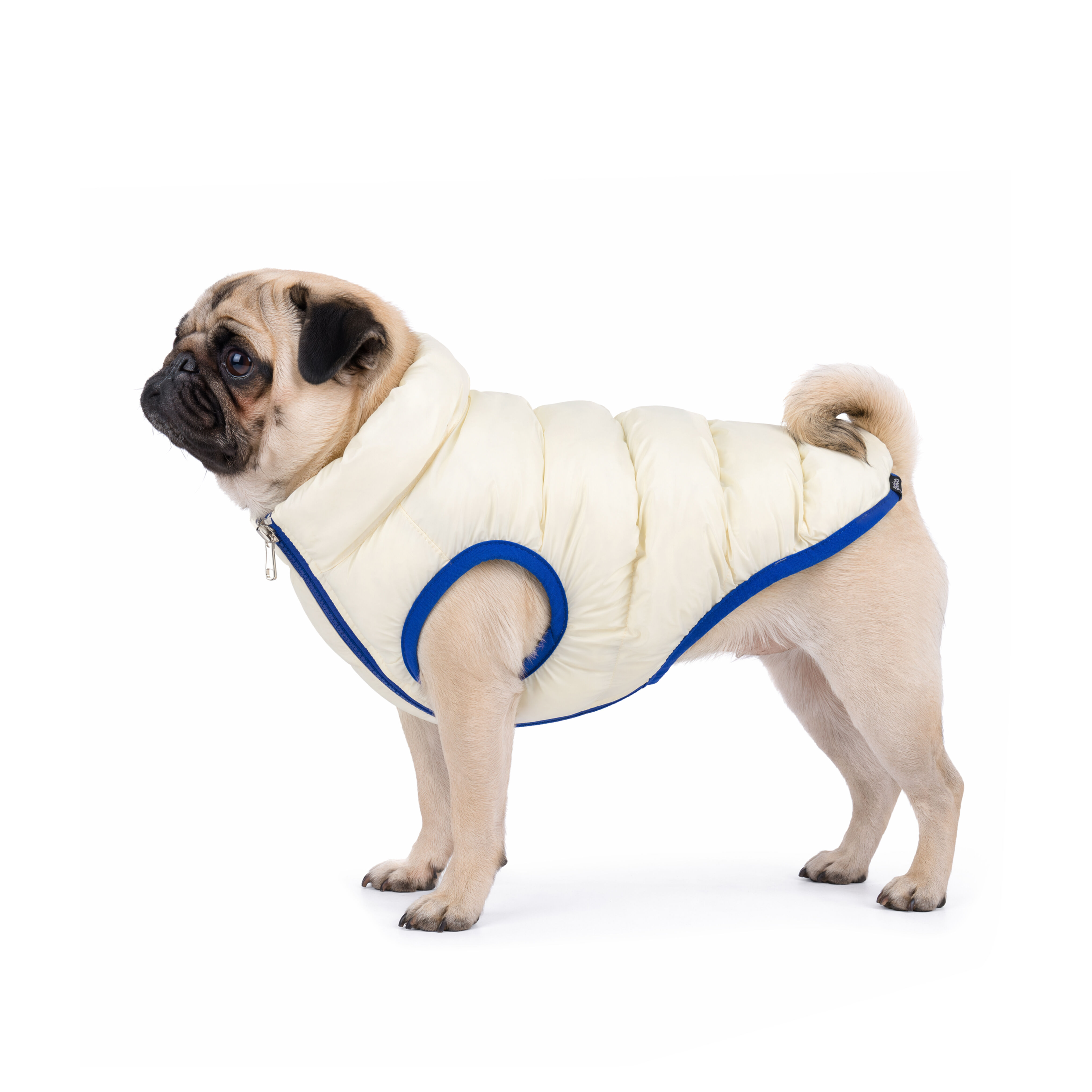 Gotoo - Manteau Deperlant et R&eacute;versible pour Chiens - 30cm Image num&eacute;ro 14