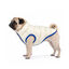 Gotoo - Manteau Deperlant et R&eacute;versible pour Chiens - 30cm Indicateur image num&eacute;ro 14