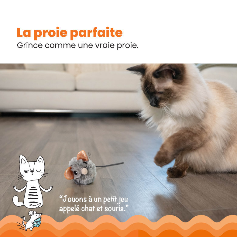 Outward Hound - Jouet Souris Squeak Mouse pour Chats - Gris Image numéro 3 Outward Hound - Jouet Souris Squeak Mouse pour Chats - Gris Image numéro 3