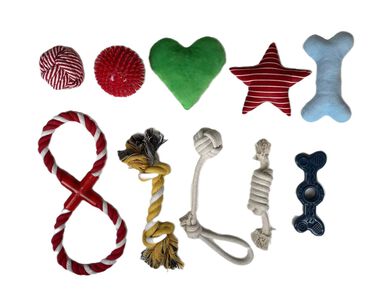 Tootoy! - Set Jeux d'Exploration à Mâcher