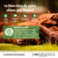 Wellness CORE - Croquettes à l'Agneau pour Chien de Toutes Races - 10Kg Indicateur image numéro 2