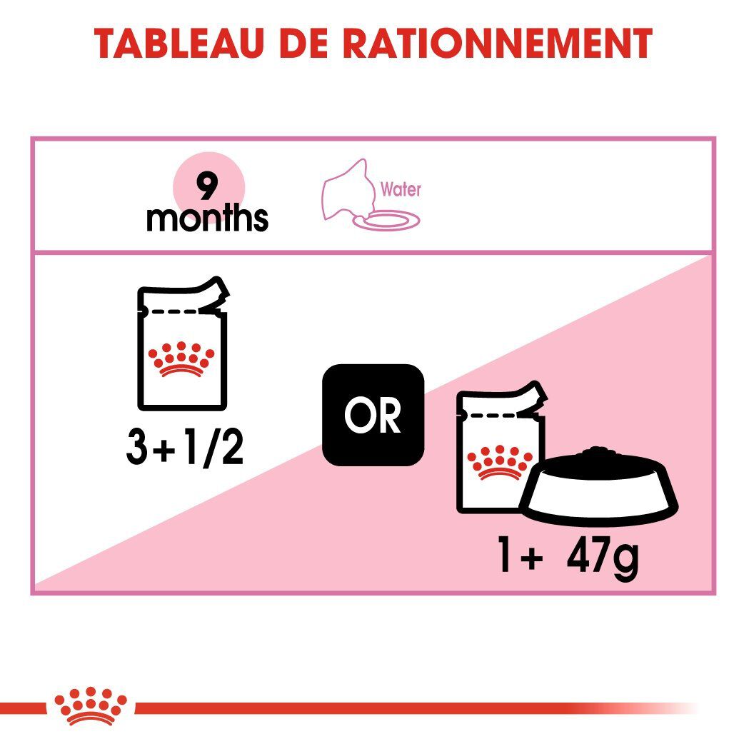 Royal Canin - Sachets Kitten Sterilised en Gel&eacute;e pour Chaton - 12x85g Image num&eacute;ro 6