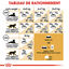 Royal Canin - Croquettes Maine Coon Adult pour Chat - 400g Indicateur image numéro 2
