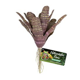 Zoomed - Plante Artificielle Chestnut Bromeliad pour Terrarium