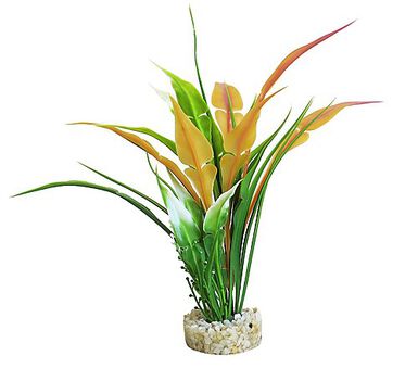 Sydeco - Décoration pour Aquarium Perle Anubias - 22 cm 
