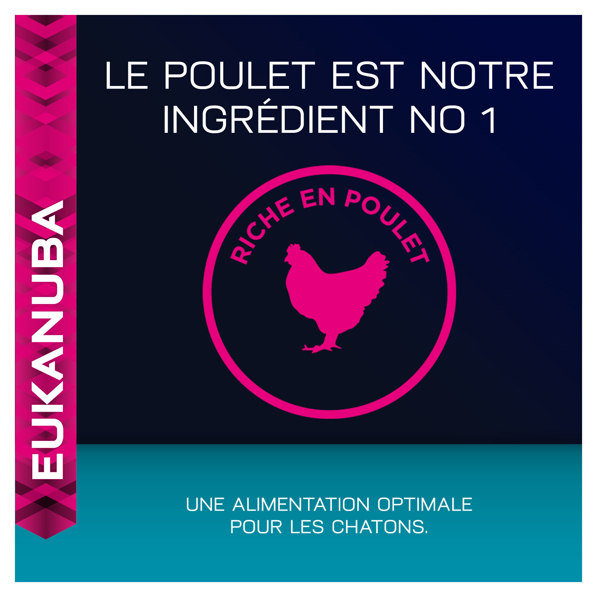 Eukanuba - Croquettes Top Condition 7+ pour Chat S&eacute;nior Image num&eacute;ro 6