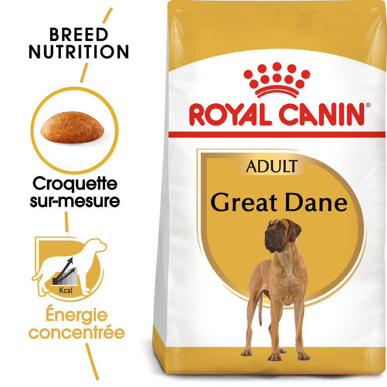 Royal Canin -  Croquettes GREAT DANE ADULT DOGUE ALLEMAND POUR CHIENS - 12KG image number null
