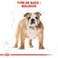 Royal Canin - Croquettes Bulldog pour Chien Adulte - 12Kg Indicateur image numéro 3