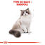 Royal Canin - Croquettes Ragdoll Adult pour Chat - 2Kg Indicateur image numéro 2