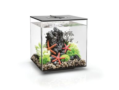 biOrb - Aquarium Cube - 30 mcr noir