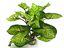 Labeo - Décoration Plante Verte Artificielle pour Aquarium Indicateur image numéro 3