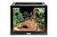 Animalis - Kit Gecko - 50cm Indicateur image numéro 4
