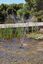 Pontec - Pompe Jeux d'Eau PondoVario 1000 pour Bassin - 1000l/h Indicateur image num&eacute;ro 3