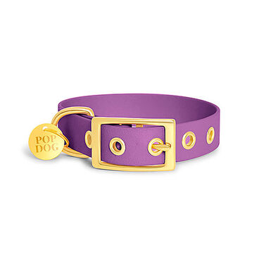 Pop Dog - Collier à Œillet Précieux Violet pour Chien - S