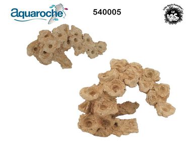 Aquaroche - Zoa Garden Rock Arche Courbe