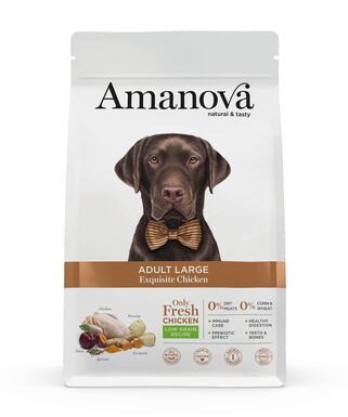 Amanova - Croquettes Adult Large au Poulet pour Chiens - 12Kg