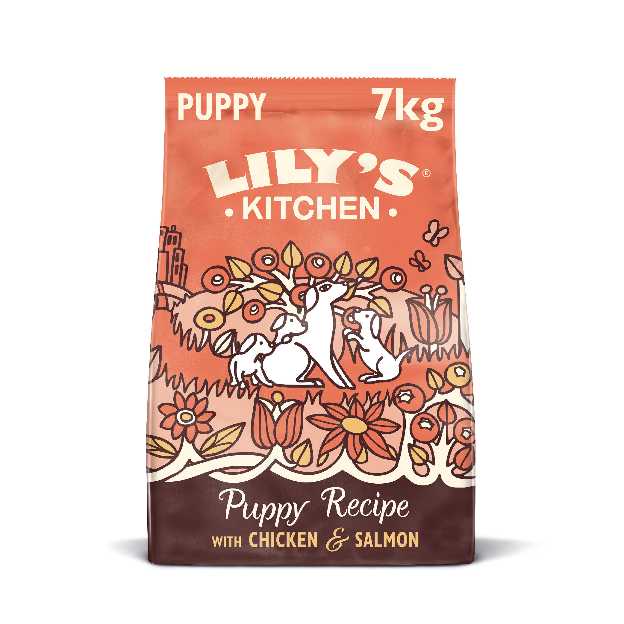Lily's Kitchen - Croquettes Poulet et Saumon Sans C&eacute;r&eacute;ales pour Chiot - 7Kg Image num&eacute;ro 1