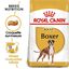 Royal Canin - Croquettes Boxer pour Chien Adulte - 12Kg Indicateur image numéro 1