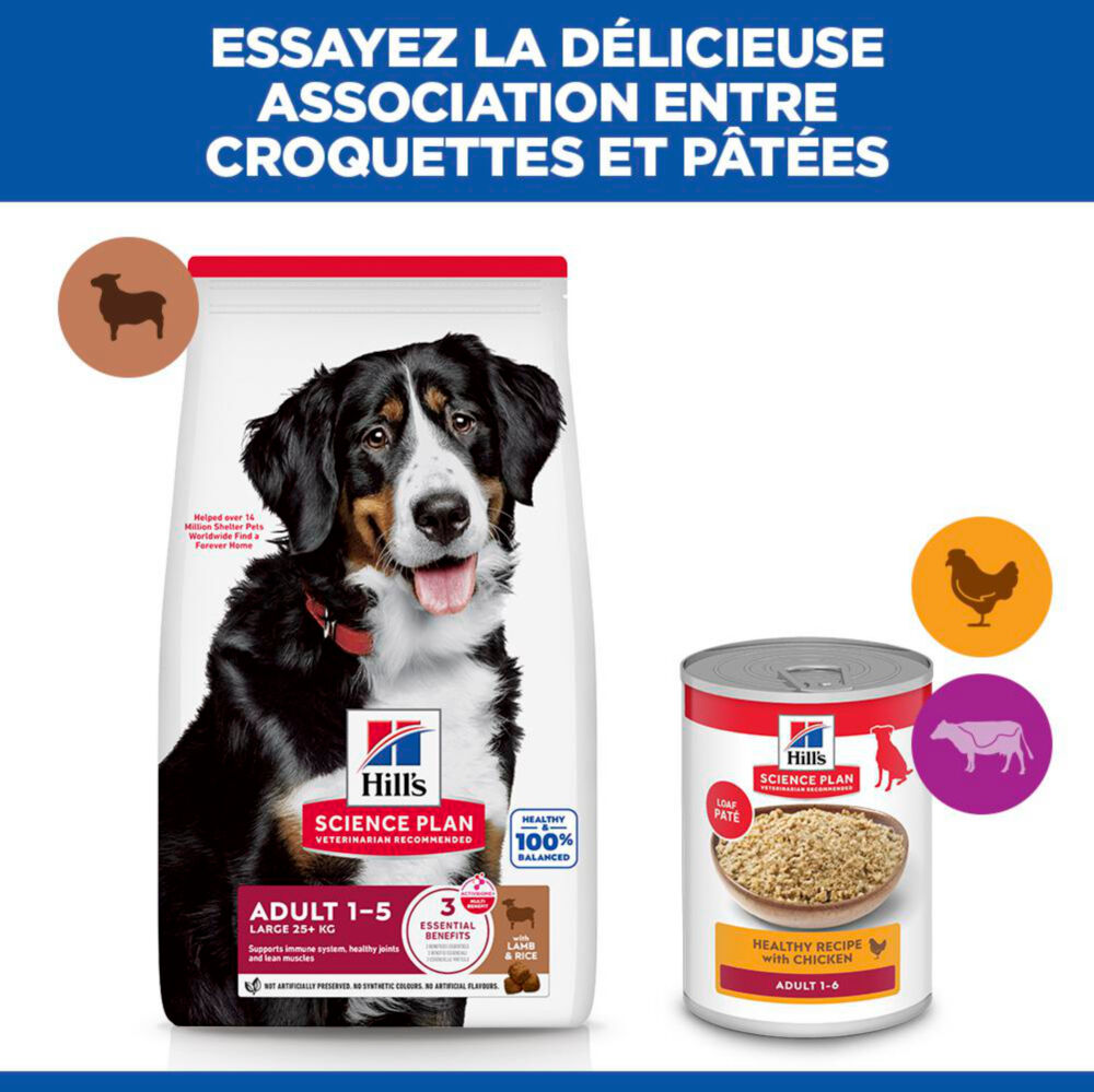 Hill's Science Plan - Adult Croquettes Pour Grand Chien A L'agneau Et Riz  - 12kg Image num&eacute;ro 12