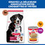 Hill's Science Plan - Adult Croquettes Pour Grand Chien A L'agneau Et Riz  - 12kg Indicateur image num&eacute;ro 12