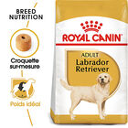 Royal Canin - Croquettes Labrador Adult pour Chiens - 3Kg image number null