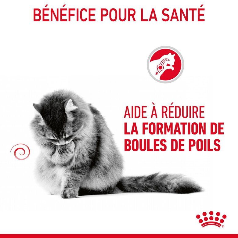 Royal Canin - Sachets Hairball Care en Sauce pour Chat - 12x85g Image numéro 3 Royal Canin - Sachets Hairball Care en Sauce pour Chat - 12x85g Image numéro 3