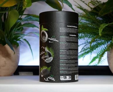 Eublepharis - Kit de Gousses Bio-Active Tropical Kit Terrarium - x40