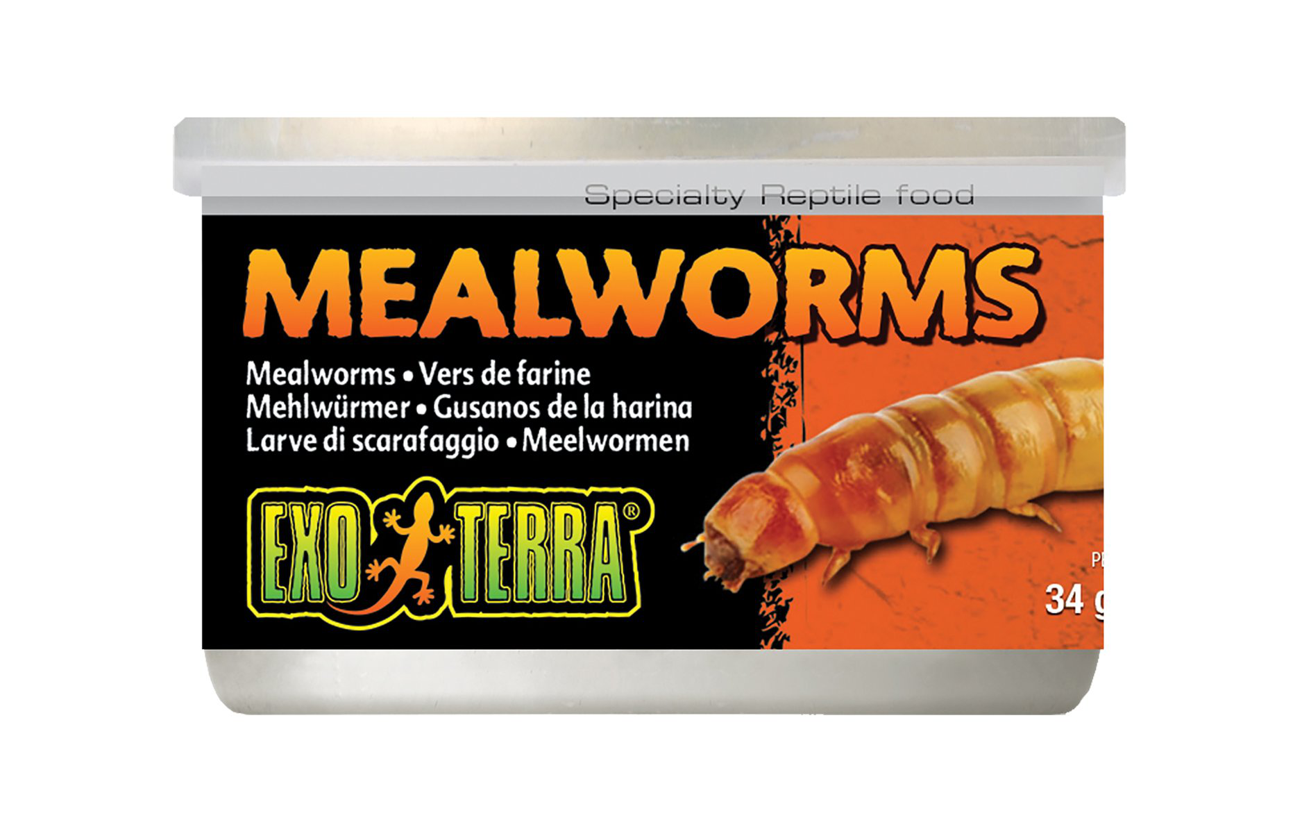 Exo Terra - Vers de Farine pour Reptiles - 34g Image num&eacute;ro 1