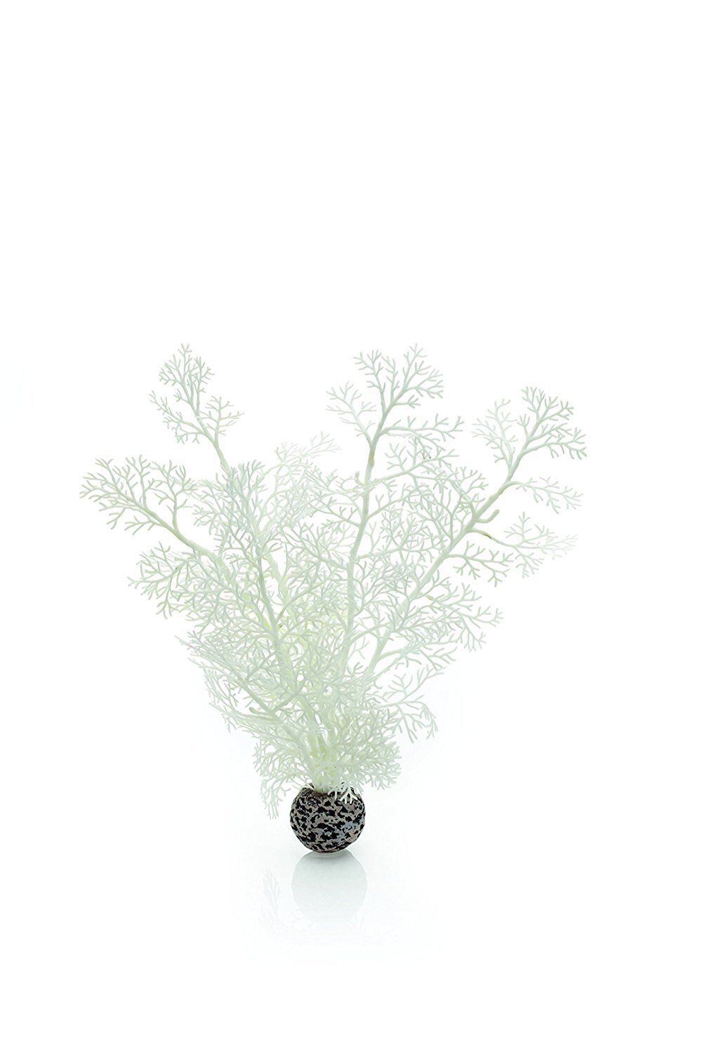 Oase - D&eacute;cor &Eacute;vantail de Mer Moyen Blanc pour Aquarium BiOrb Image num&eacute;ro 1