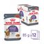 Royal Canin - Sachets Appetite Control Care en Sauce pour Chat - 12x85g Indicateur image numéro 13