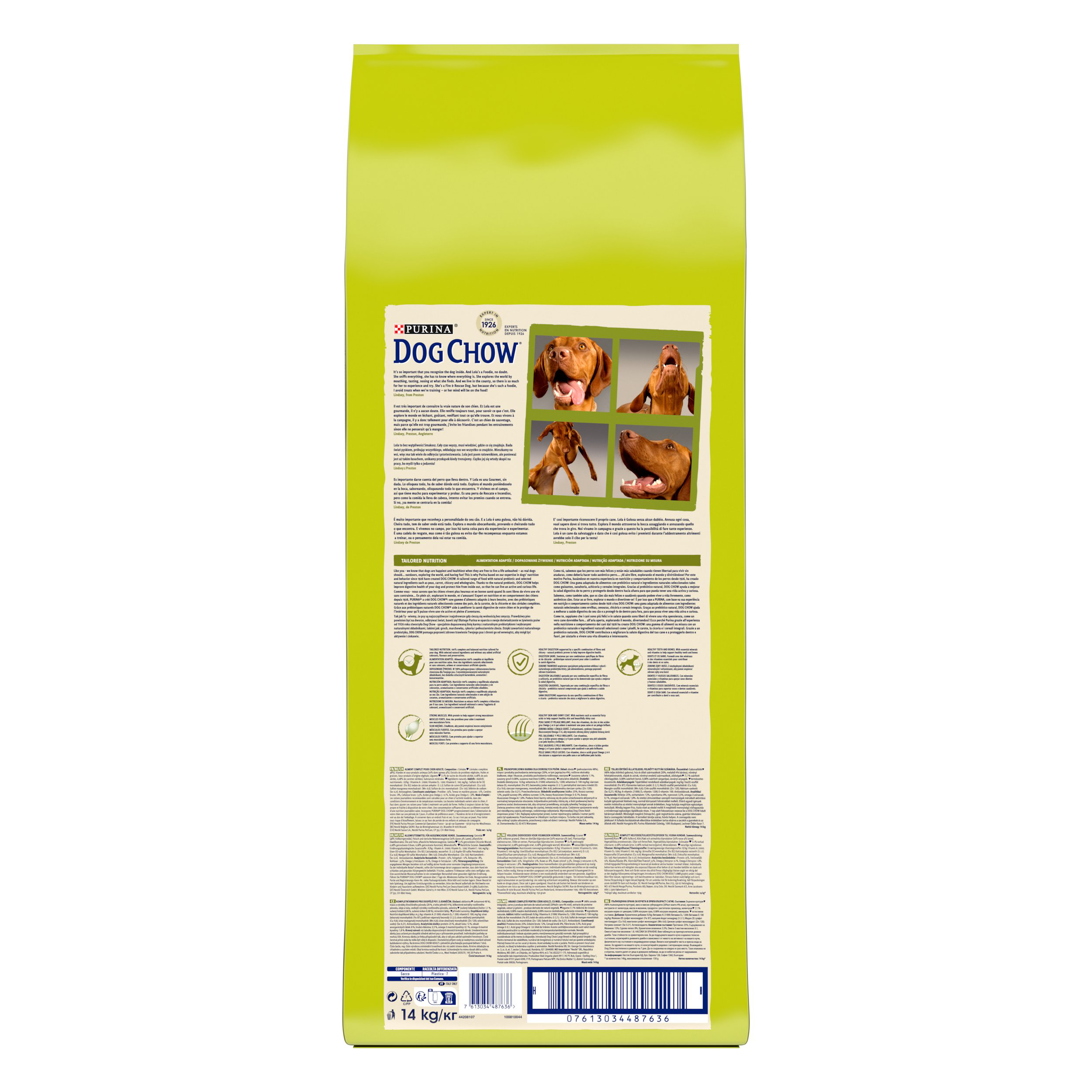 Dog Chow - Chien Adult avec de l'Agneau - 14 Kg Image num&eacute;ro 5